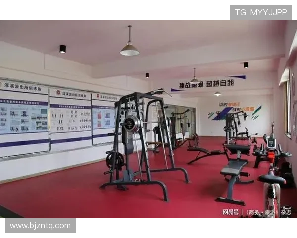 南京乒乓球队的精神风貌与训练理念探讨专题分析