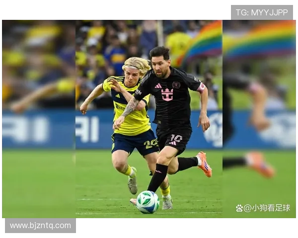 不同类型球迷对足球明星的偏爱分析与探讨